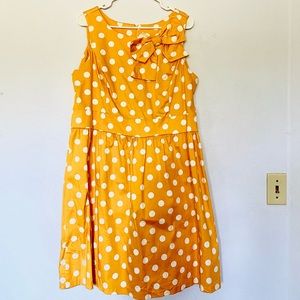 A ray of sunshine! ✨ 💛